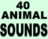 {NYTE} Animal Sounds 2