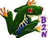 B2N-Frog Wink