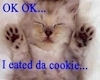 I eat da cookie.....