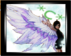 *C* White Aion wings
