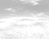 Field of Dreams