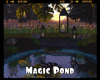 #Magic Pond