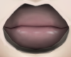 lip liner v2