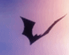 Nocturnal Bats