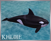 K large whale orca