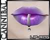 Lip Ring/Labret