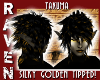 Takuma GOLDEN TIPPED!