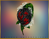 [UE] BOUTONNIERE BLK RED