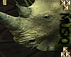 M| Rhino