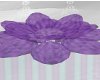PurpleJewel LotusFlower