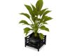 *CS* Large plant