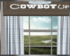 Cowboy Window 2