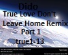 Dido Don't Leave Home 1