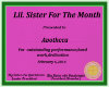 Apotheca certificate 