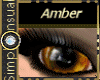 SS EWindows~Amber