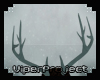 [VP] Speckle Antlers M/F