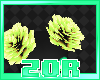 Cennek | Flowers