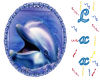 *Lxx dolphin rug 3