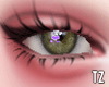 # Greenie Eyes M/F