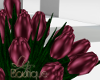 Wedding Tulips Burgundy