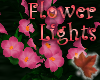 mac.FlowerLights Pink
