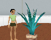 IllustriousPotWithPlant