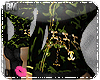 [BM|MilitantSuit}Army