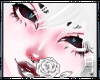 |z| Kitsu Head