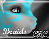 {CSC} Aqua Tiger Braids