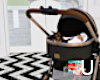 UL| Infant carriage