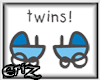 Twins Enhancer