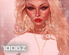 |gz|code white rolled t
