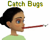 Catch Bugs