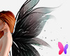 Black Fairy wings