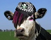 Punk Cow Poster