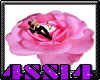 !4-Rose Rug 