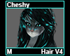 Cheshy Hair M V4
