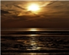 beach/cards background