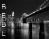 "Foreva" in New York 1