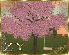 ZY: Sakura Swing Tree