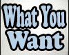 What You Want Evanescenc