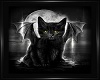 Black Cat Picture #4