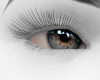 🖤Blue Eyes Realistic3