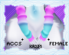ꨄStacy Warmersꨄ