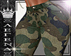 ✠WAR◤RLS◢