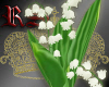 {RS} Lily of the Valley