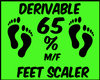 `{J} 65 % Foot Scaler