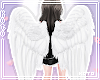 琴. Angel wings