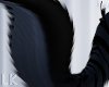 LK - Dark Crescent Tail