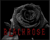 BlackRose Ring